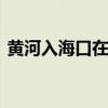 黄河入海口在哪里 东营黄河入海口景点介绍