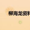 柳海龙资料（关于柳海龙资料的介绍）