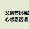 父亲节祝福短信语简单 父亲节对爸爸说的暖心感恩话语