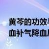 黄芩的功效与作用点 日常用黄芩泡水喝，补血补气降血压