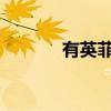 有英菲尼迪新车型预兆的形象