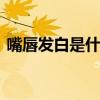 嘴唇发白是什么原因？ 嘴唇发白是怎么回事