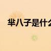 芈八子是什么意思 芈月为什么一直是八子