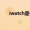iwatch是什么(iwatch属于什么手表)