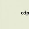 cdp化妆品 cpb官方网站