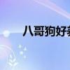 八哥狗好养吗 呆萌的巴哥犬好养吗？