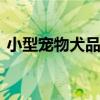 小型宠物犬品种大全 十大适合家养的小型犬