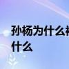 孙杨为什么被禁赛8年 孙杨被禁赛8年原因是什么