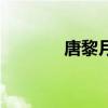 唐黎月（关于唐黎月的介绍）