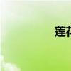 莲花LOTUS性能怎么样