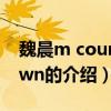 魏晨m countdown（关于魏晨m countdown的介绍）