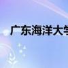 广东海洋大学是几本 广东金融学院是几本
