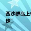 西沙群岛上有哪些海鸟 西沙群岛的“掌上明珠”