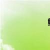 鲸鱼是哺乳动物吗