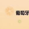 葡萄牙瑞典 葡萄牙与瑞典全场