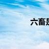 六畜是什么 六畜是指哪六畜