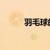 羽毛球的羽毛是什么动物的羽毛
