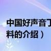 中国好声音丁丁资料（关于中国好声音丁丁资料的介绍）