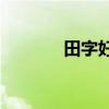 田字好玩吗(天子地景区樱花)