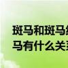 斑马和斑马线有关系吗 那么斑马线到底和斑马有什么关系呢？