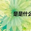 是是什么成语(自什么自什么成语)