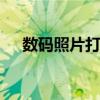 数码照片打印机 专业照片打印机排行榜