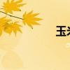 玉米须的功效作用禁忌