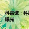 科雷傲：科雷嘉Armor-Lux特别版车型官图曝光