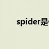 spider是什么意思(spider发音规则)