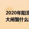 2020年阳澄湖大闸蟹上市时间 2020阳澄湖大闸蟹什么时候开湖