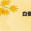 白蚕净白防晒霜成分介绍