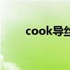 cook导丝（关于cook导丝的介绍）