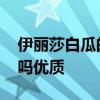 伊丽莎白瓜的营养价值 伊丽莎白瓜是哈密瓜吗优质