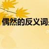 偶然的反义词是什么(偶然性的反义词是什么)