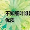 不知细叶谁裁出的下一句是什么 咏柳的赏析优质
