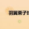 羽翼栗子球 羽翼栗子球lv10在哪一集