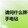 请问什么牌子的破壁机好用 请问什么牌子的手电钻 