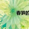 春笋的营养价值及功效与禁忌