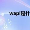 wapi是什么意思 WAPI到底是什么? wapi是什么意思 WAPI到底是什么?
