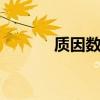 质因数是什么 质因数和密电码