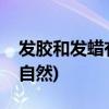 发胶和发蜡有什么区别(发蜡和发泥哪个比较自然)