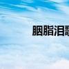 胭脂泪歌词 胭脂泪活佛济公歌曲