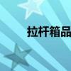 拉杆箱品牌排名 拉杆箱材质哪种好
