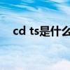 cd ts是什么意思 文化中的ts和cd是什么