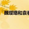 魏璎珞和袁春望 哪一集袁春望把昭华公主 魏璎珞和袁春望 哪一集袁春望把昭华公主