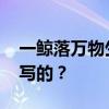 一鲸落万物生完整句 一鲸落万物生完整句谁写的？