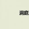 洞庭湖甲鱼(野生甲鱼图片)