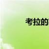 考拉的英文 考拉英语介绍50字 考拉的英文 考拉英语介绍50字