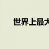 世界上最大的宫殿(世界十大宫殿排名)