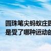 圆珠笔尖蚂蚁庄园 圆珠笔尖的珠是写好字的关键，它的发明是受了哪种运动的启发